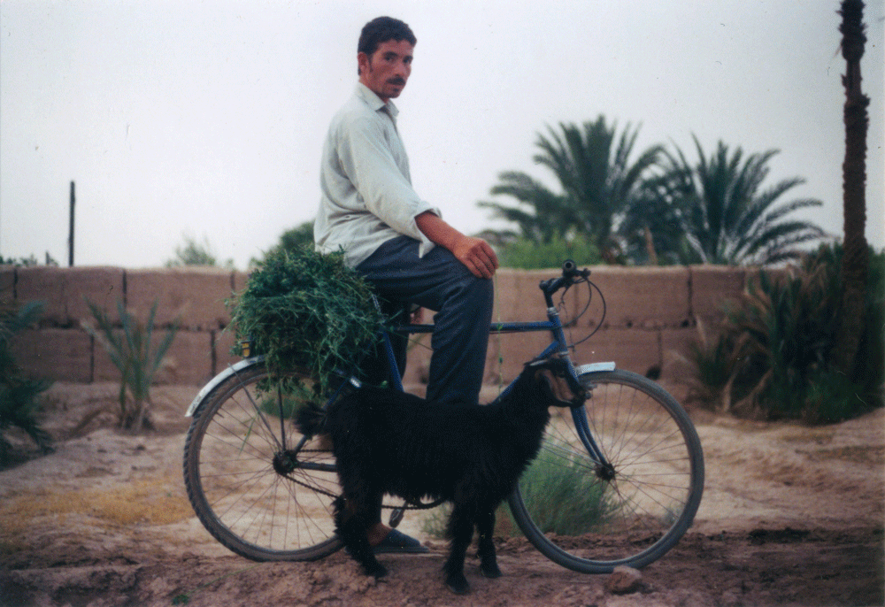 ©-Driss-Aroussi-Moustapha-Rihla-fil-wãha-sur-véloetbiche,-Fezna,-2005