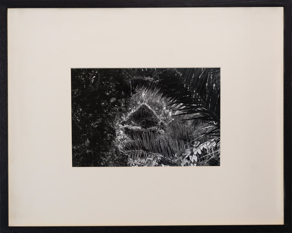 JG-000657-image