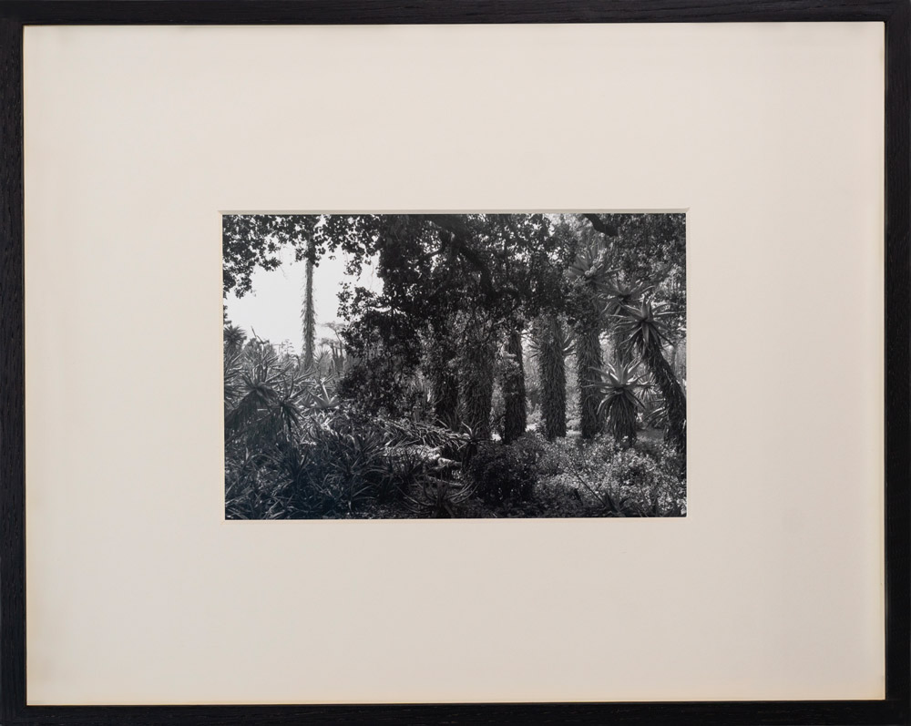 JG-000670-image