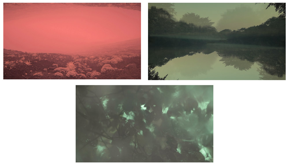 Leonard-Pongo-1-Primordial-Earth-Inhabiting-The-Landscape-Short-Film-Screengrabs
