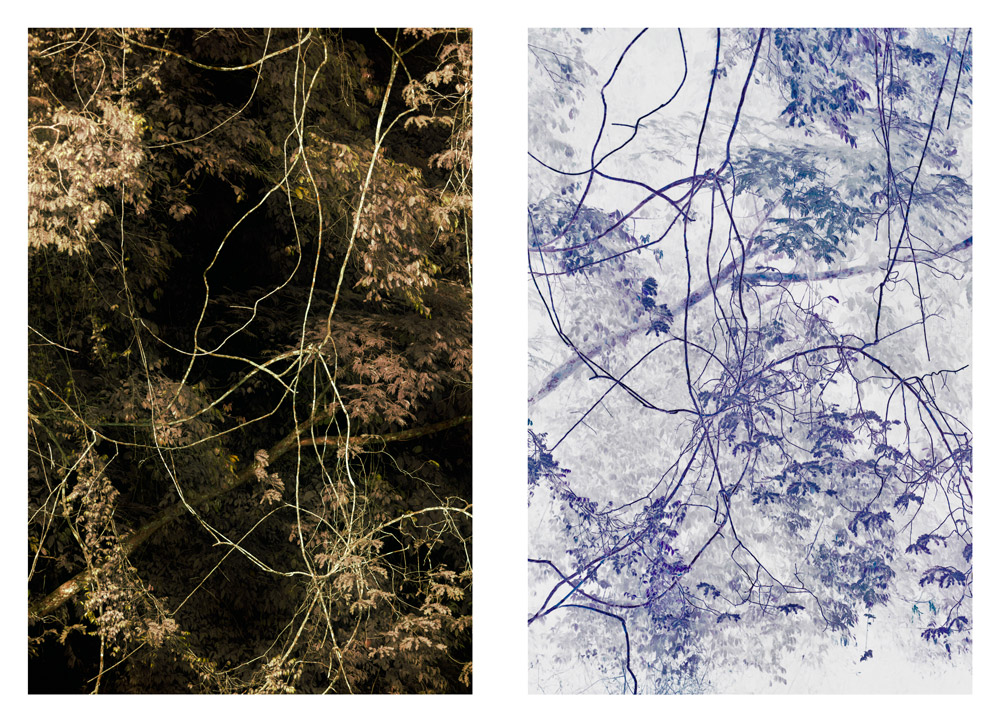 diptych-double