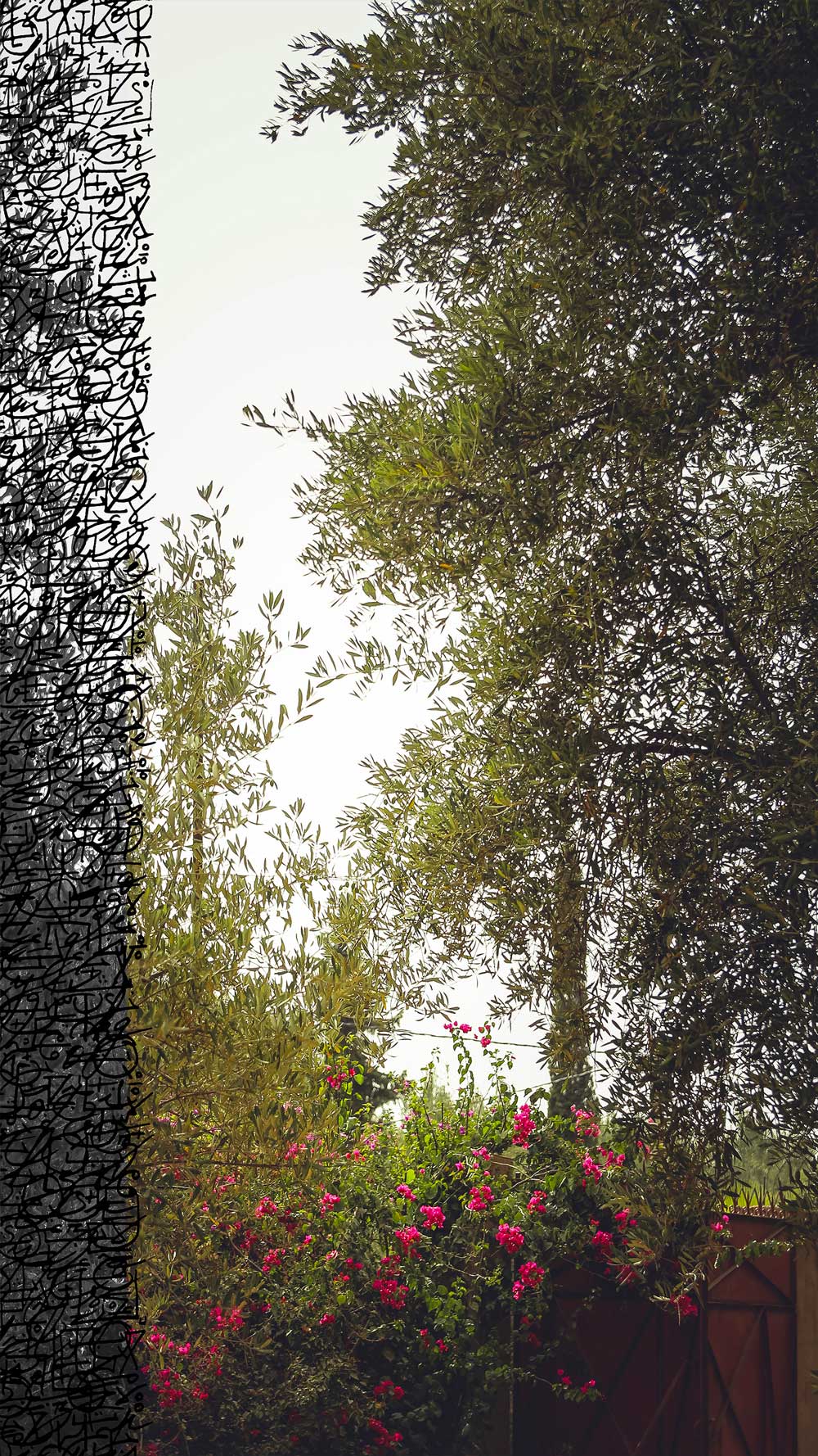 3_Aghmat_Sarah-Smahane