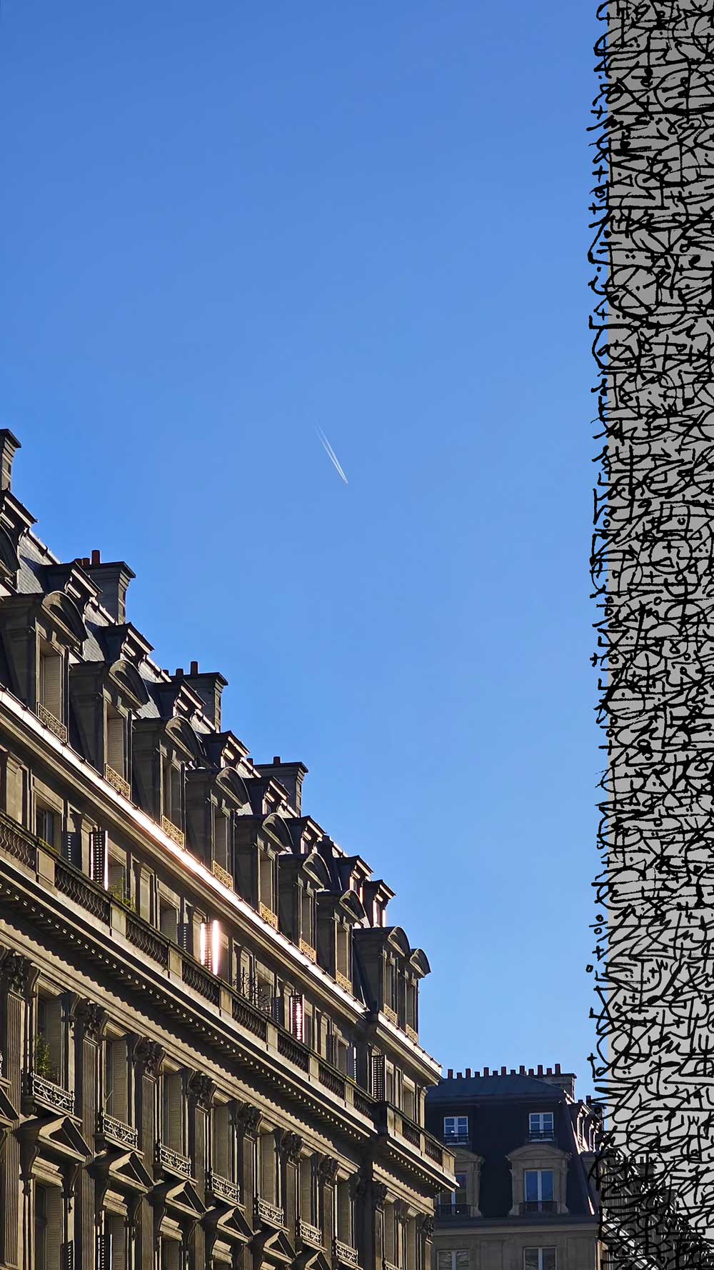 6_Sarah-Smahane---Paris